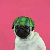 小女孩与小狗头像