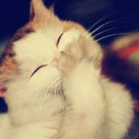 小狗头像画法视频