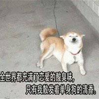 可爱小狗头像黑白色