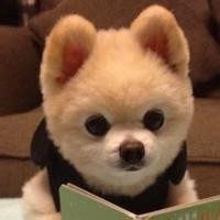 简笔画小狗头像视频