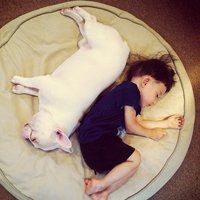 动漫女抱小狗头像