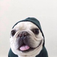 情侣小狗头像简笔画