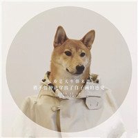 动漫女抱小狗头像