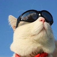 可爱小狗头像萌萌哒