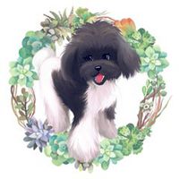 嘴角滴奶小狗头像