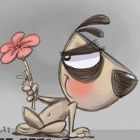 小狗头像拍照软件