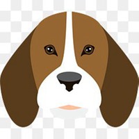 晴天小狗头像设置不了