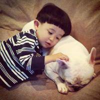 暴发户小狗头像