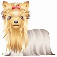 一只猫一只小狗头像