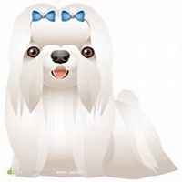 西卡微博小狗头像