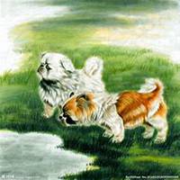 小狗头像简笔画并涂色