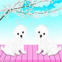 钱小佳小狗头像