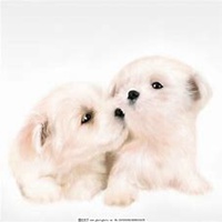 粉色背景小狗头像