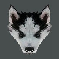 小狗头像甩头换是啥