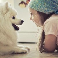 小狗头像折纸步骤