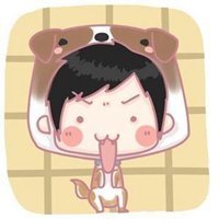 爆满小狗头像