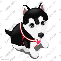 小狗头像拍照软件