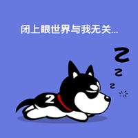 狗头像搞笑哈士奇