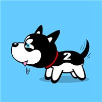 卡通白底狗头像照片