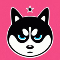 哈士奇狗头像高清大图