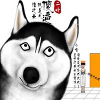 微信哈士奇狗头像高清