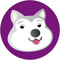 哈士奇成年狗头像