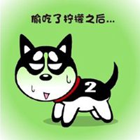 哈士奇狗头像可爱可爱