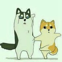 哈士奇狗头像高清大图