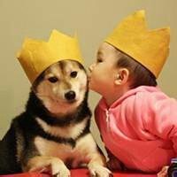 哈士奇狗头像霸气