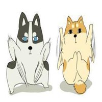 哈士奇开黑5黑狗头像