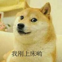 哈士奇开黑5黑狗头像