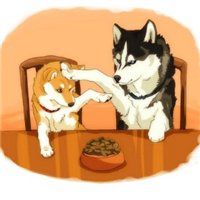 哈士奇狗头像霸气