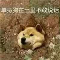 亚索单身狗头像图片