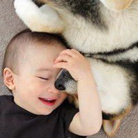 唯美男生抱狗头像