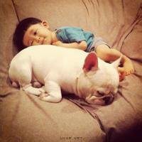 蓝色衣服抱狗头像