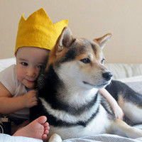 小萝莉抱狗狗头像