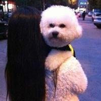 女生抱狗头像2018