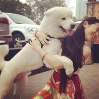 唯美男生抱狗头像