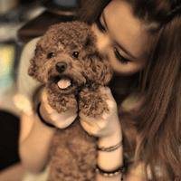 西瓜头小孩抱狗头像