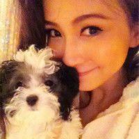 社会人抱狗头像