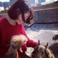 半遮脸抱狗头像