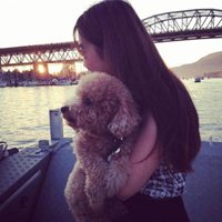 黑白抱狗头像个性网