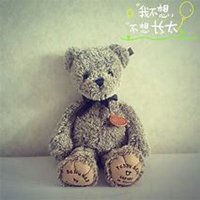 泰迪狗头像高清可爱