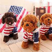 美女抱泰迪狗狗头像