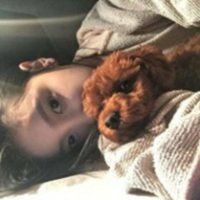 泰迪狗头像手绘