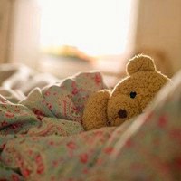 泰迪狗头像手绘