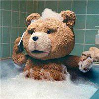 女生抱泰迪狗头像