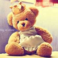 泰迪狗狗头像清晰