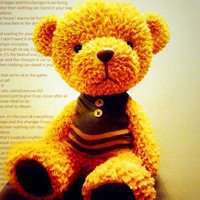 女生抱泰迪狗头像