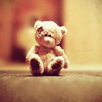 狗狗头像+泰迪高清